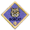 bobcat